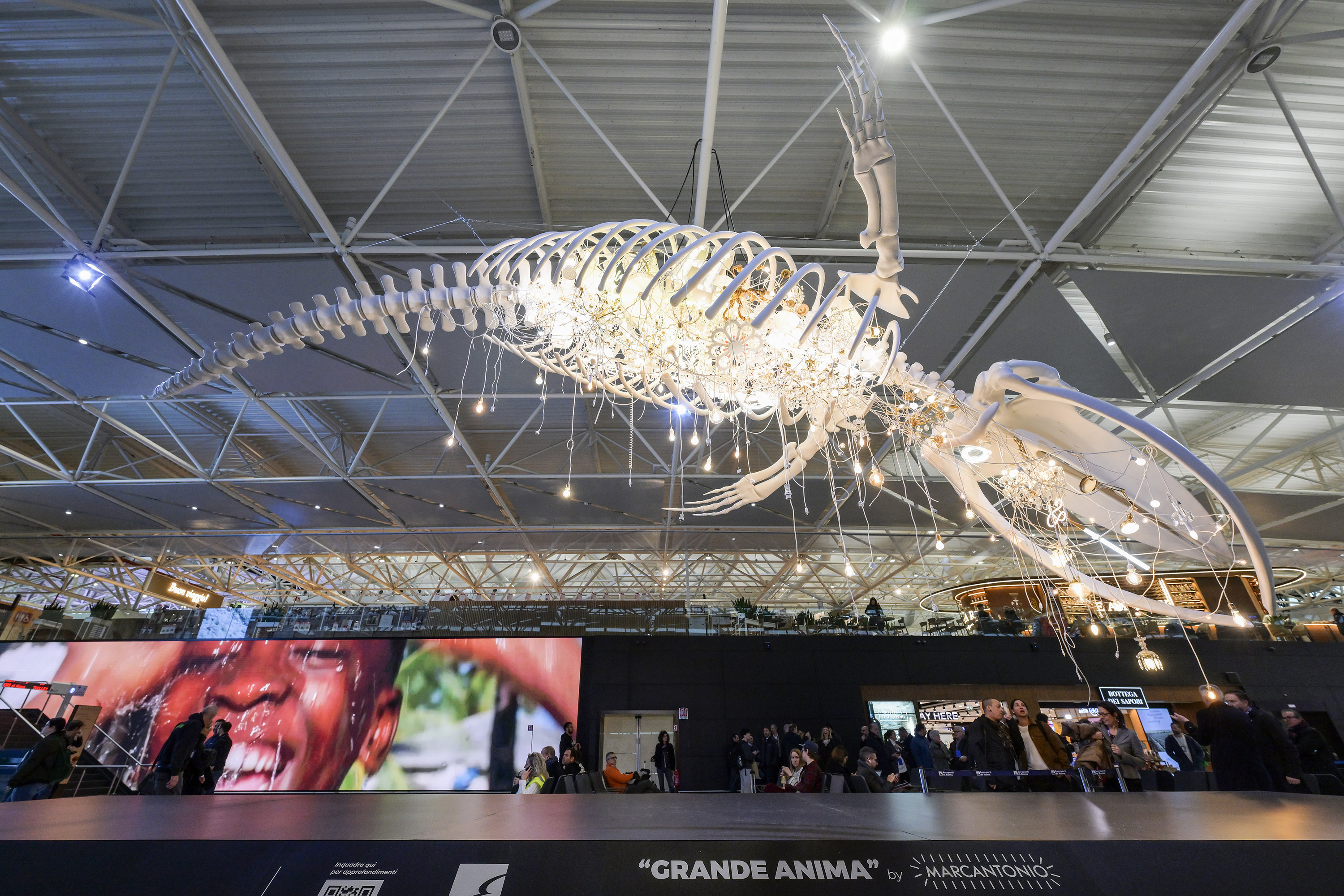 Skeleton of a great whale containing lights and lamps that are turned on. The lights create a luminous volume representing the soul of the great animal.