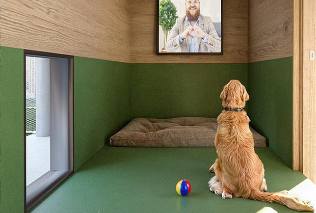 Dog relais